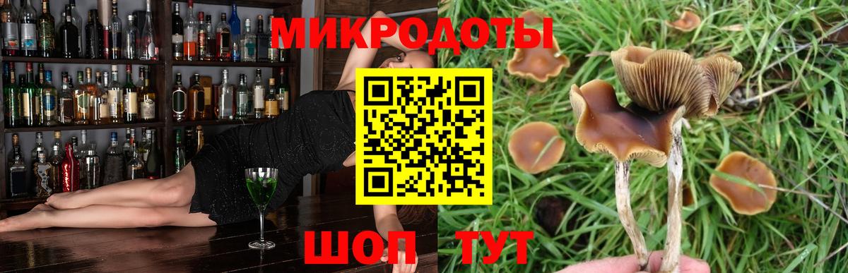 Псилоцибиновые грибы прущие грибы Рославль