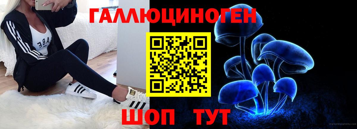 Галлюциногенные грибы Magic Shrooms  Псилоцибиновые грибы Magic Shrooms  Вход с VPN  Рославль 